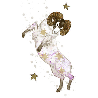aries | Zodiac collection