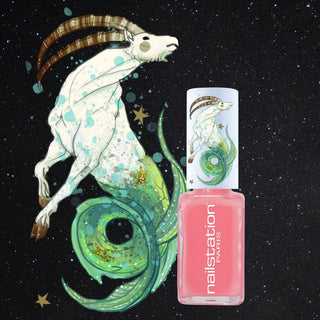capricorn | Zodiac collection